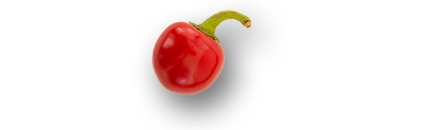 Kirschpaprika (Cherry)