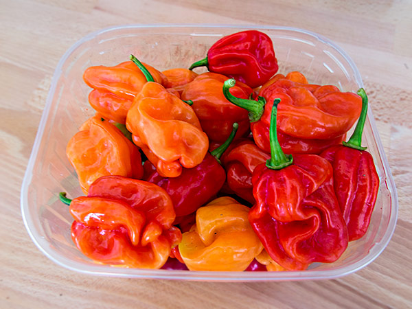 Tropical Red Peppers