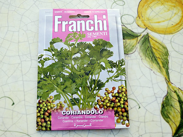 Sementi di coriandolo