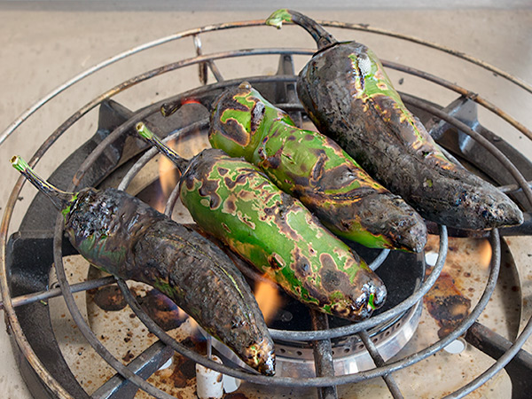 Arrostare sulla griglia barbecue del gas