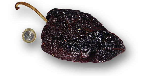 Ancho (getrockneter Poblano)