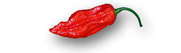 Bhut Jolokia