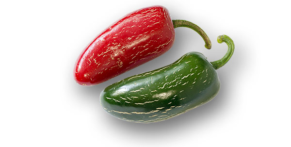 Jalapeno (rotgereift und grün)