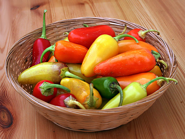 Bunte Ernte: Jalapeño "NuMex Piñata"